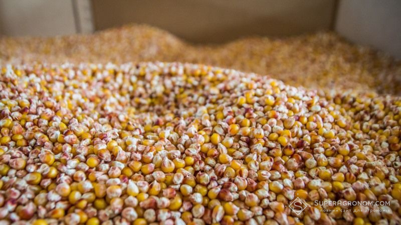 Огляд закупівельних цін на сільськогосподарську продукцію у період з 10 по 14 грудня