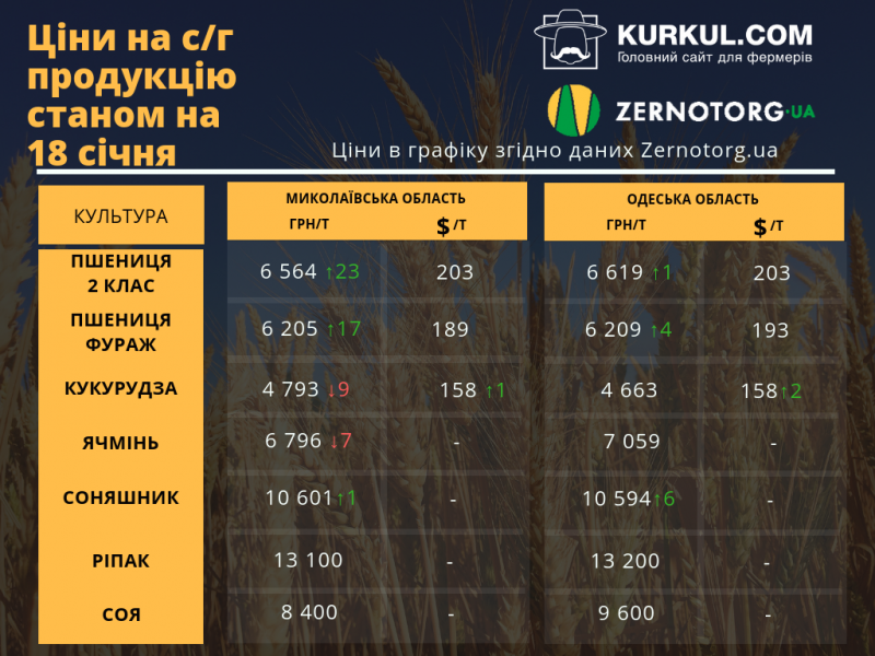 Огляд цін на с/г продукцію за 14-18 січня  — як змінилась вартість соняшника на цьому тижні