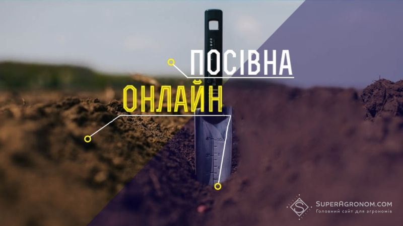 Визначено, які області першими завершать сіяти ранні культури — Посівна Онлайн 2018/19