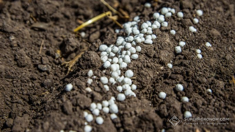 За вітчизняні добрива аграрії переплачують чверть ціни — думка