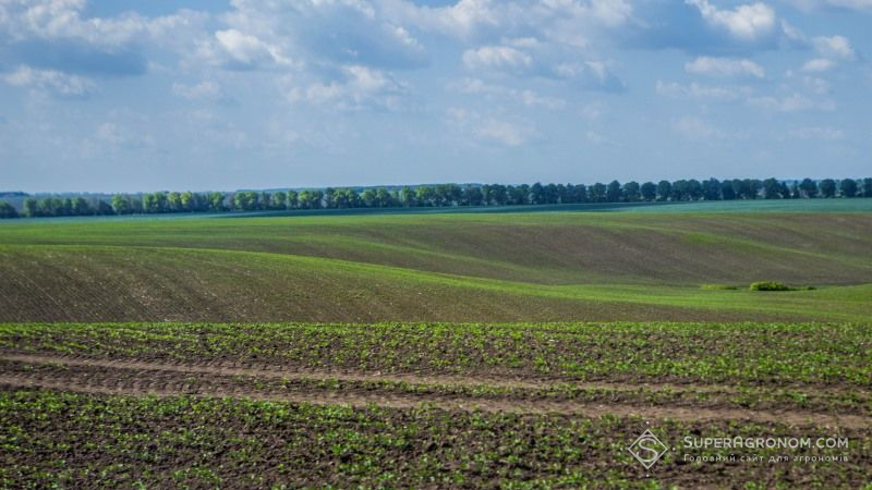 На Вінниччині стартувала посівна озимих