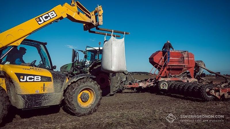 Озимим ріпаком засіяно практично чверть прогнозованих площ