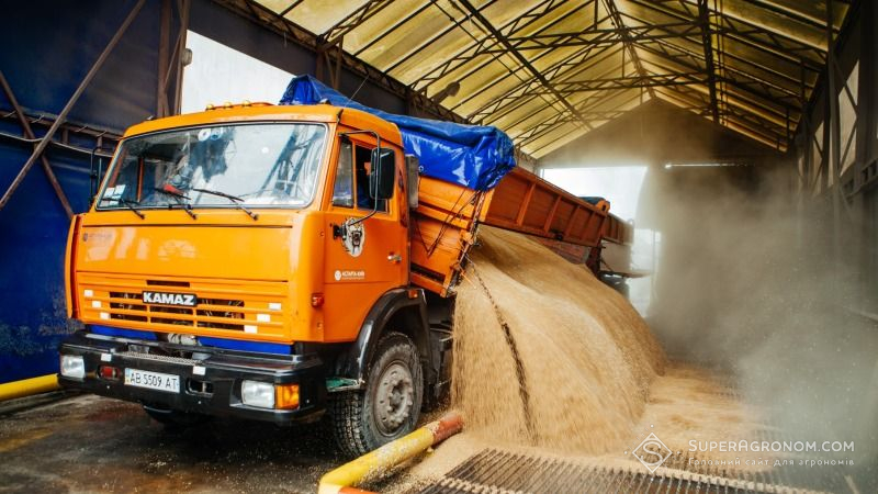 Огляд закупівельних цін на сільськогосподарську продукцію у період з 12 по 16 серпня