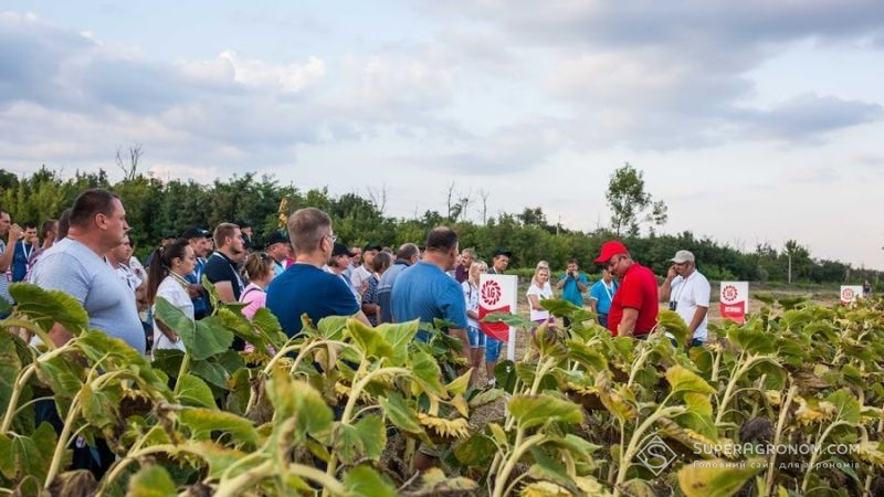 Аграріїв ознайомили з технологіями вирощування соняшнику в умовах недостатнього зволоження