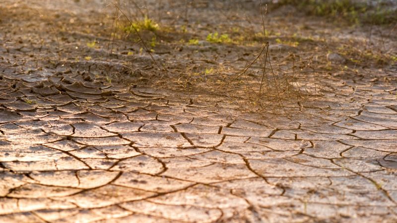 Для боротьби з посухою в Казахстані випробовують полімери