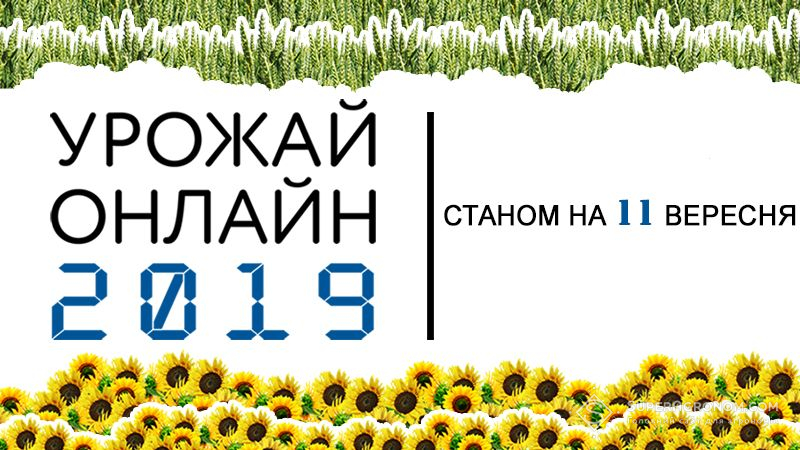 З полів зібрано 40 млн тонн зерна — Урожай Онлайн 2019