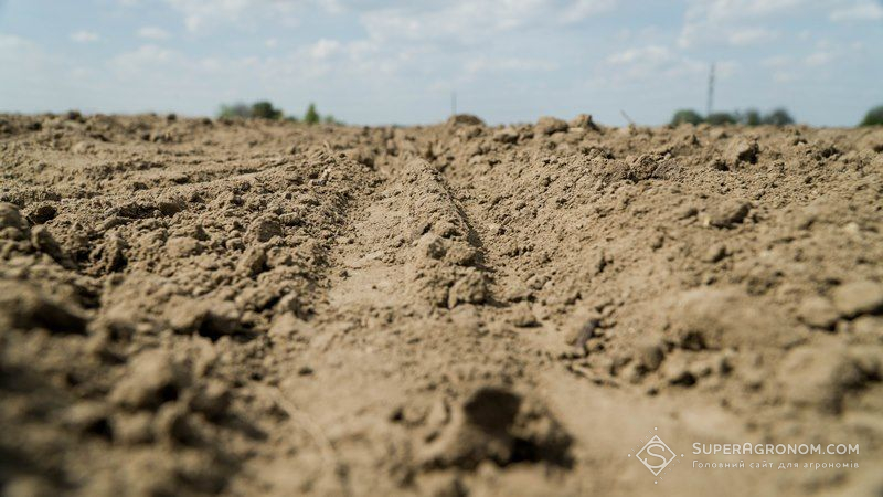 З посівною озимих в Україні склалась надзвичайно критична ситуація — Укргідрометеоцентр