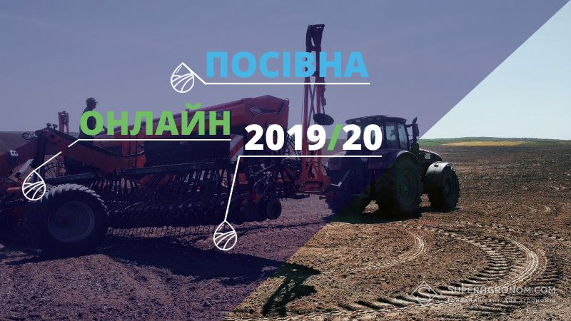 На полях добігає кінця сівба озимого ріпаку — Посівна Онлайн 2019/20