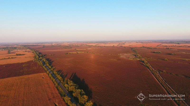 Визначено, скільки землі в Україні обробляється іноземцями