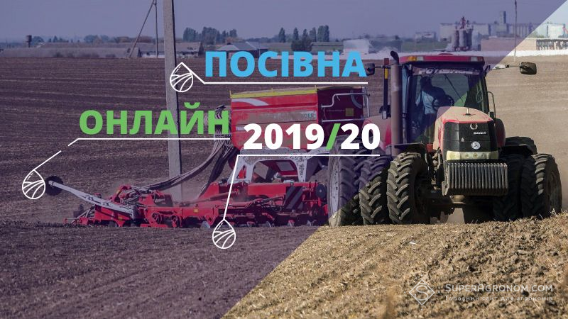 Названо області-лідери за посівними площами під озимими культурами