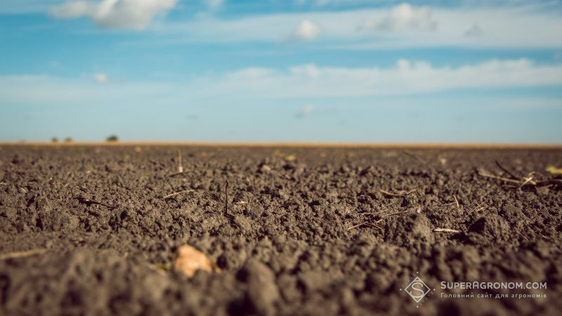 За роки незалежності площі земель НААН скоротились вдвічі