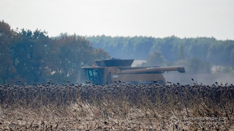 На Рівненщині зібрано половину врожаю соняшнику та сої