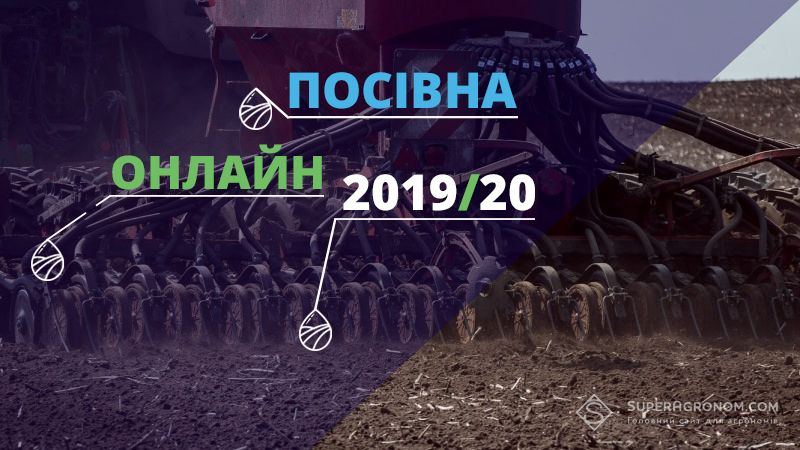 Названо області, які досягли планового показника посіву озимого ячменю