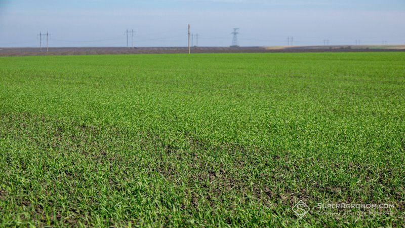 В окремих регіонах погіршилась ситуація з вологозабезпеченням ґрунту