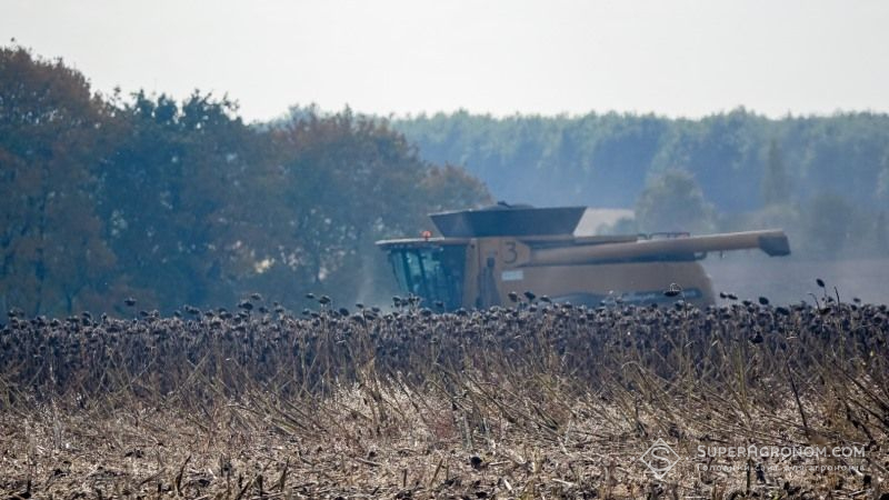 Жнива соняшнику та сої вийшли на фінішну пряму