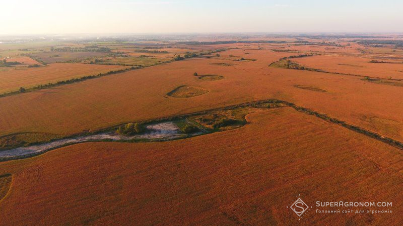 Законопроект про ринок землі ухвалено у першому читанні