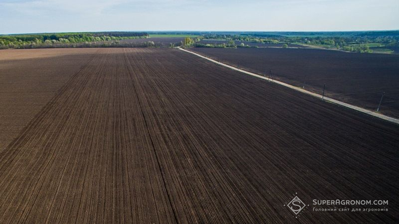 В Україні зареєстровано понад половину державних сільгоспземель