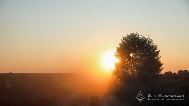 В Україні очікується аномальне потепління — тижневий прогноз погоди