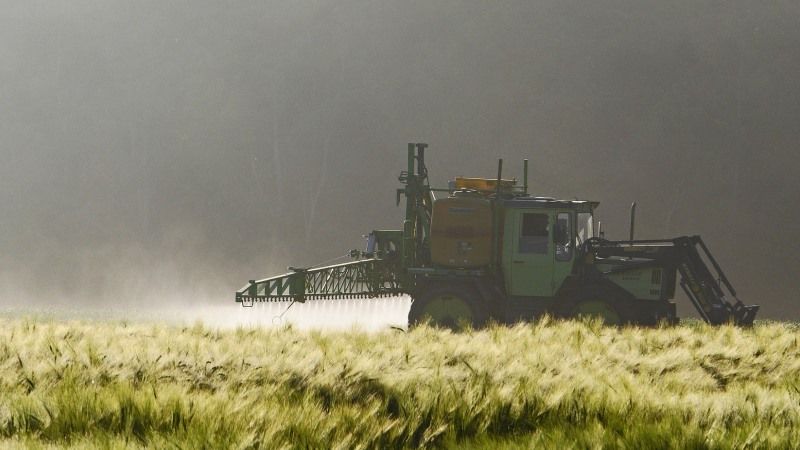 Мексика оголосила заборону на використання гліфосату