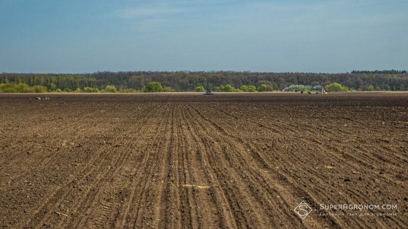 Визначено, скільки землі в Україні орендують іноземці