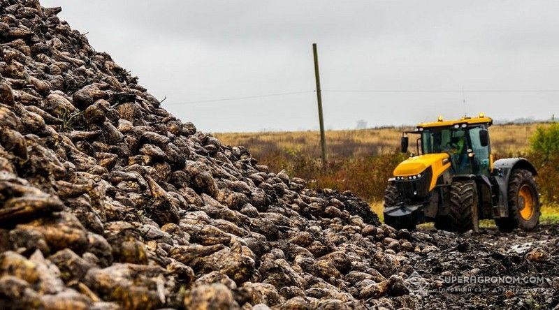 Мелясна барда може стати альтернативою мінеральним добривам