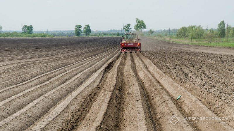 Вітчизняні картоплярі не зацікавлені в зростанні виробництва — експерти