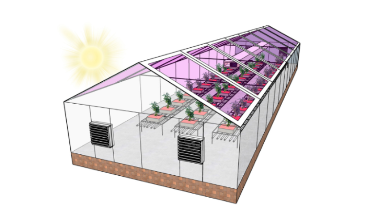 Американці презентували енергонезалежні теплиці з прозорими сонячними батареями