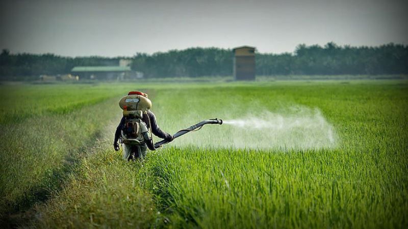 Екологи домоглись розгляду питання повної заборони манкоцебу в ЄС