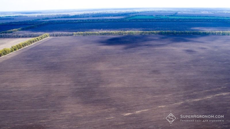 Подекуди вологозапаси ґрунту знизились до критичного рівня