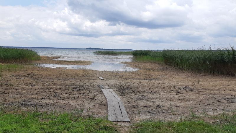 В Україні спостерігається найнижчий рівень води у річках за останні 100 років