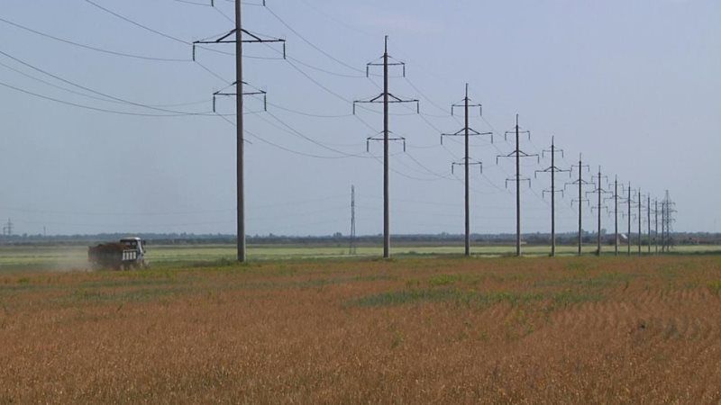 Фахівці констатують незадовільний стан озимих на Одещині