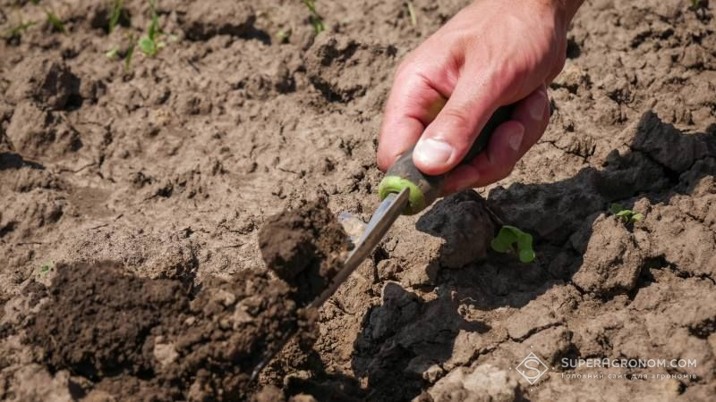 У травні на полях покращились запаси продуктивної вологи — НААН