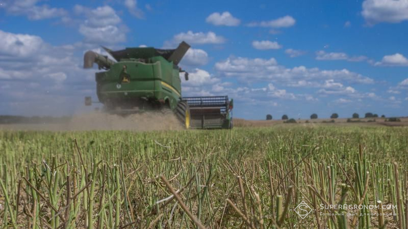 В Україні може з’явитись новий регіон-лідер за виробництвом ріпаку