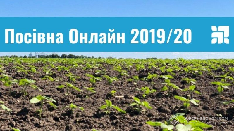 Названо області з найбільшим приростом посівних площ під соняшником