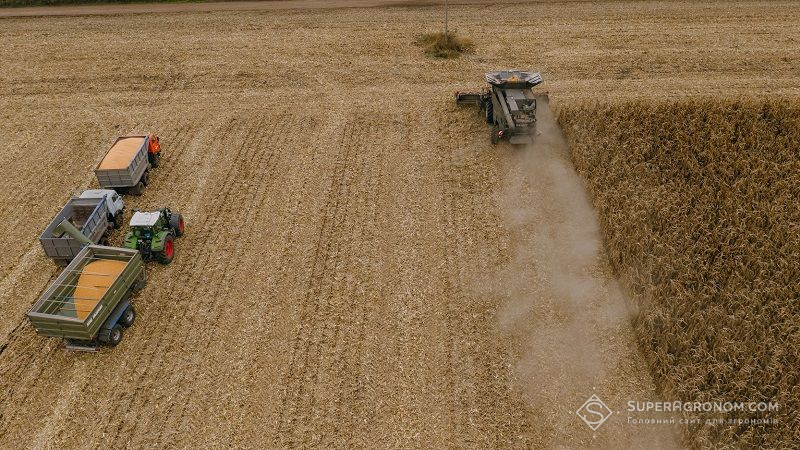 Ріст виробництва деяких культур зумовлено збільшенням посівних площ — фахівець