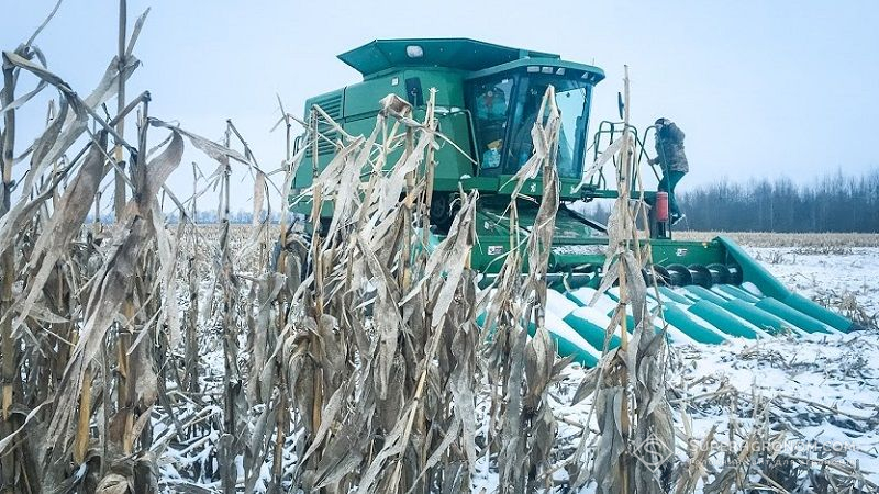 Аграрії Полтавщини та Харківщини зібрали понад 6 млн тонн пізніх культур 