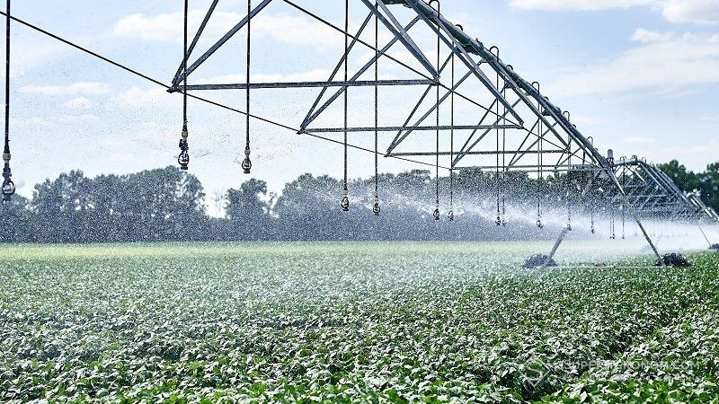 Зрошувальні площі на Миколаївщині збільшаться у 6 разів, — ОДА