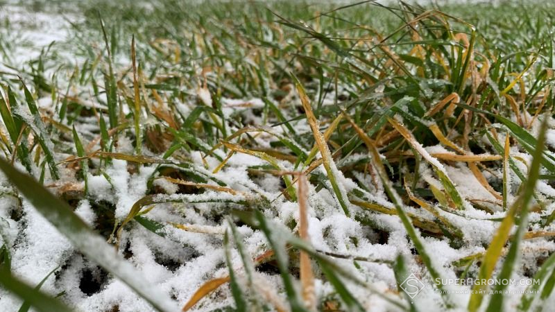 Аграрій з Чернігівщини розповів, які небезпеки може нести зимова відлига