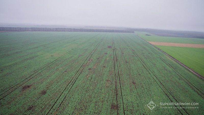 В Раді розглянуть законопроєкт про детінізацію аграрного сектору, — нардеп