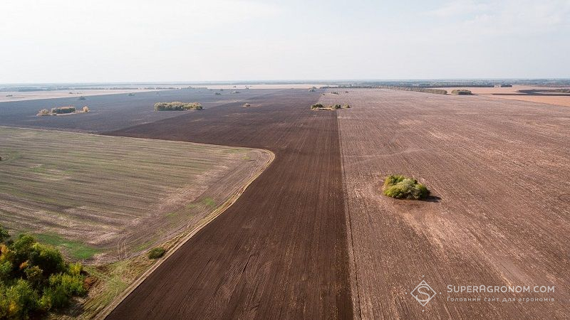 В Україні провели соціологічне опитування: чи варто продавати землю іноземцям