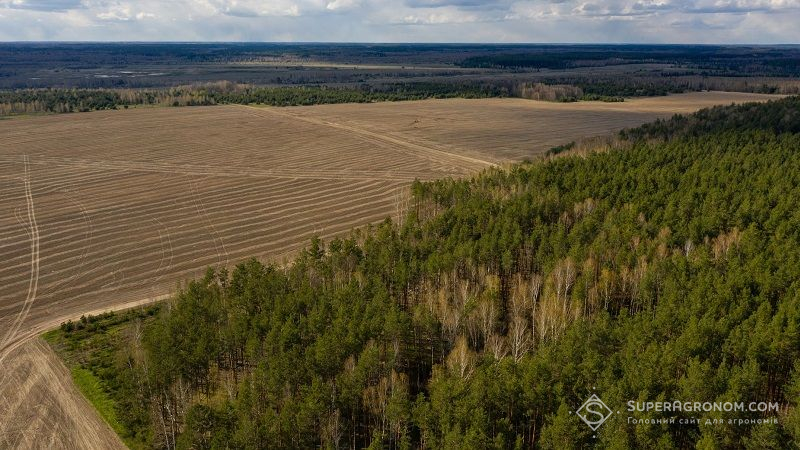 У Раді планують скасувати право постійного користування земельними ділянкам