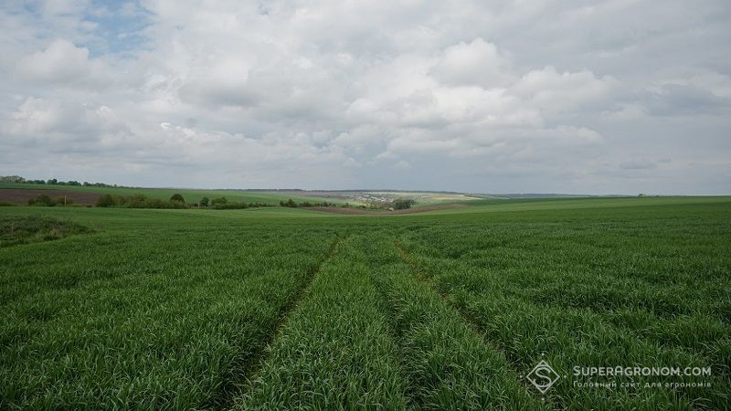 Далеко не кожен бажаючий українець зможе отримати обіцяні державою 2 га землі