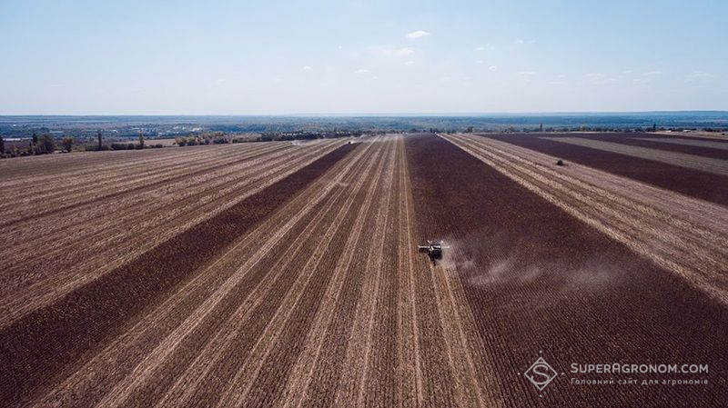 Озвучено особливості купівлі/продажу сільгоспземель: податки та обмеження