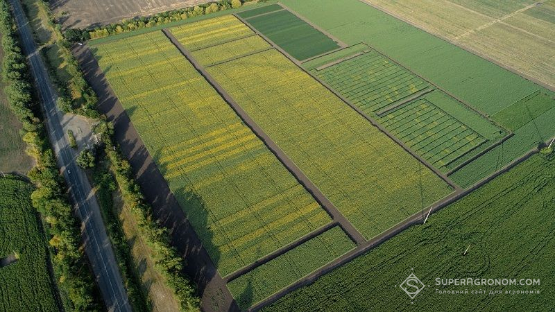 Міністр агрополітики розповів, скільки вже продано земельних ділянок