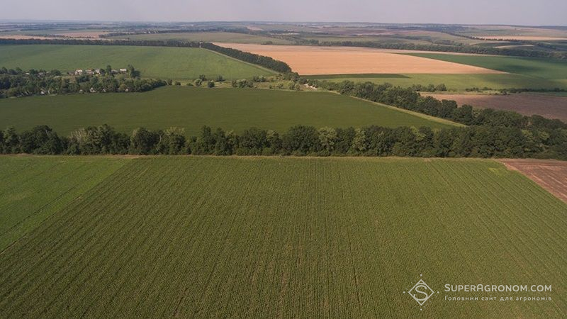 Київщина лідирує за обсягами укладених земельних угод