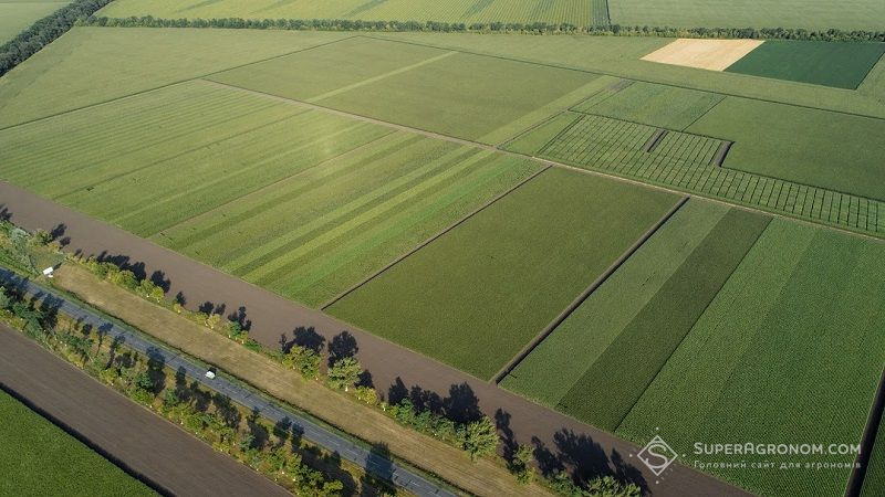 В Україні здійснили понад 2,2 тис. земельних операцій, — рейтинг областей