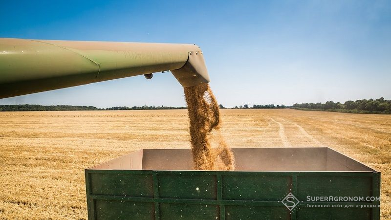 Опубліковано звіт щодо врожайності сільгоспкультур в Чернівецькій області