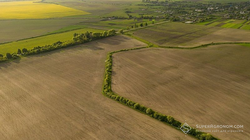 В Україні зареєстровано понад 5,2 тис. земельних угод, — Мінагрополітики