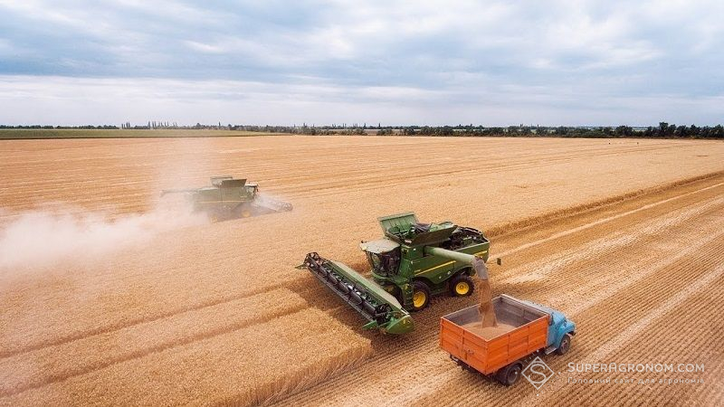 Жнива на Тернопільщині перетнули екватор: урожайність на 10% вища ніж торік