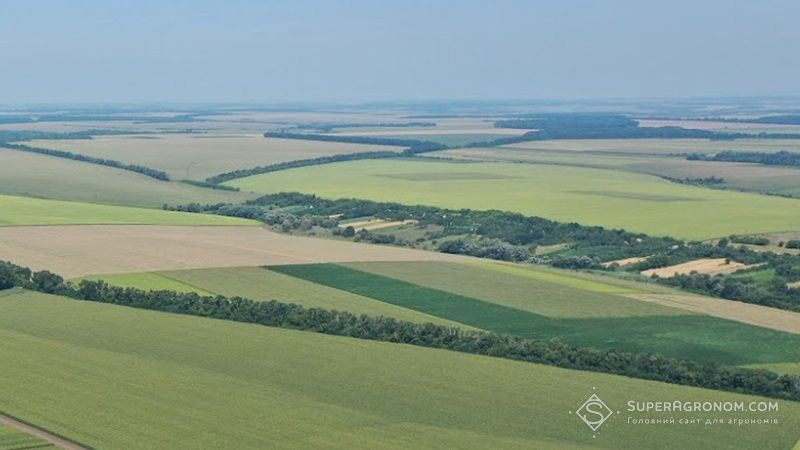 Названо область-аутсайдера ринку землі, де здійснено найменше правочинів